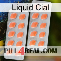 Liquid Cial 27